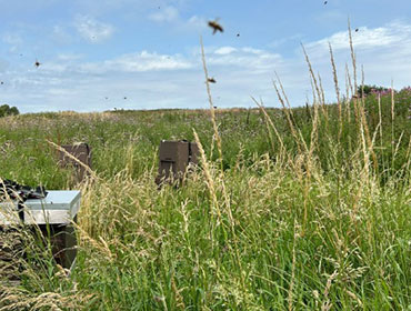 Granleja Raw Honey Produced in Southport England UK