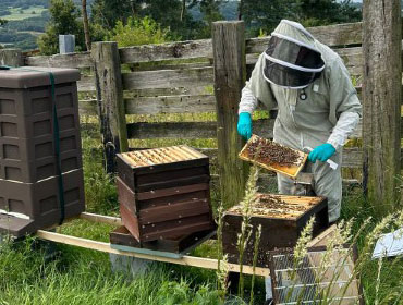 Granleja Raw Honey Produced in Southport England UK
